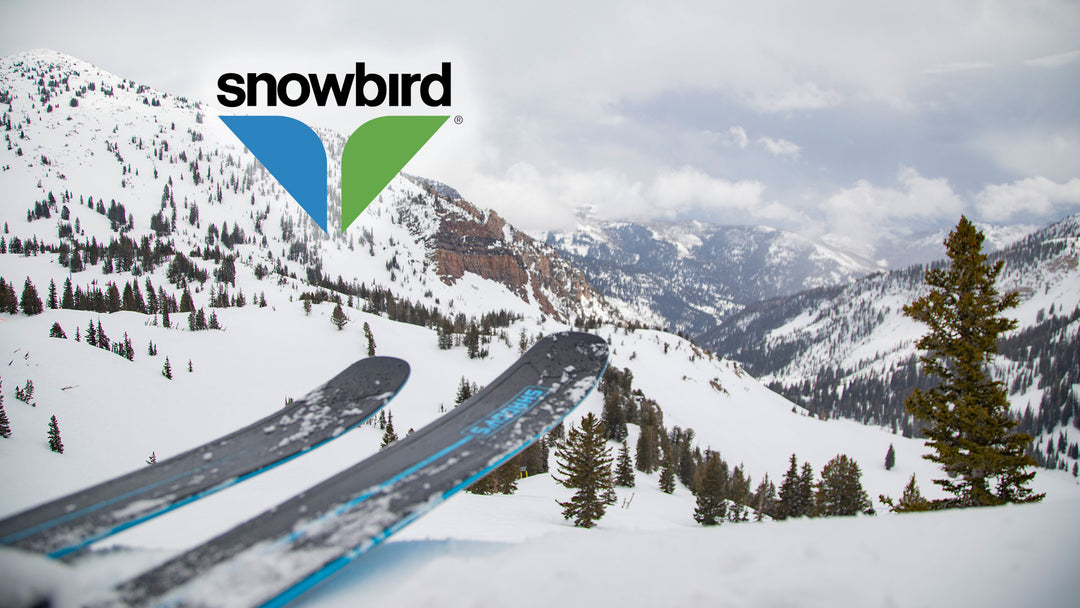 Video Recap: Exploring Snowbird Utah