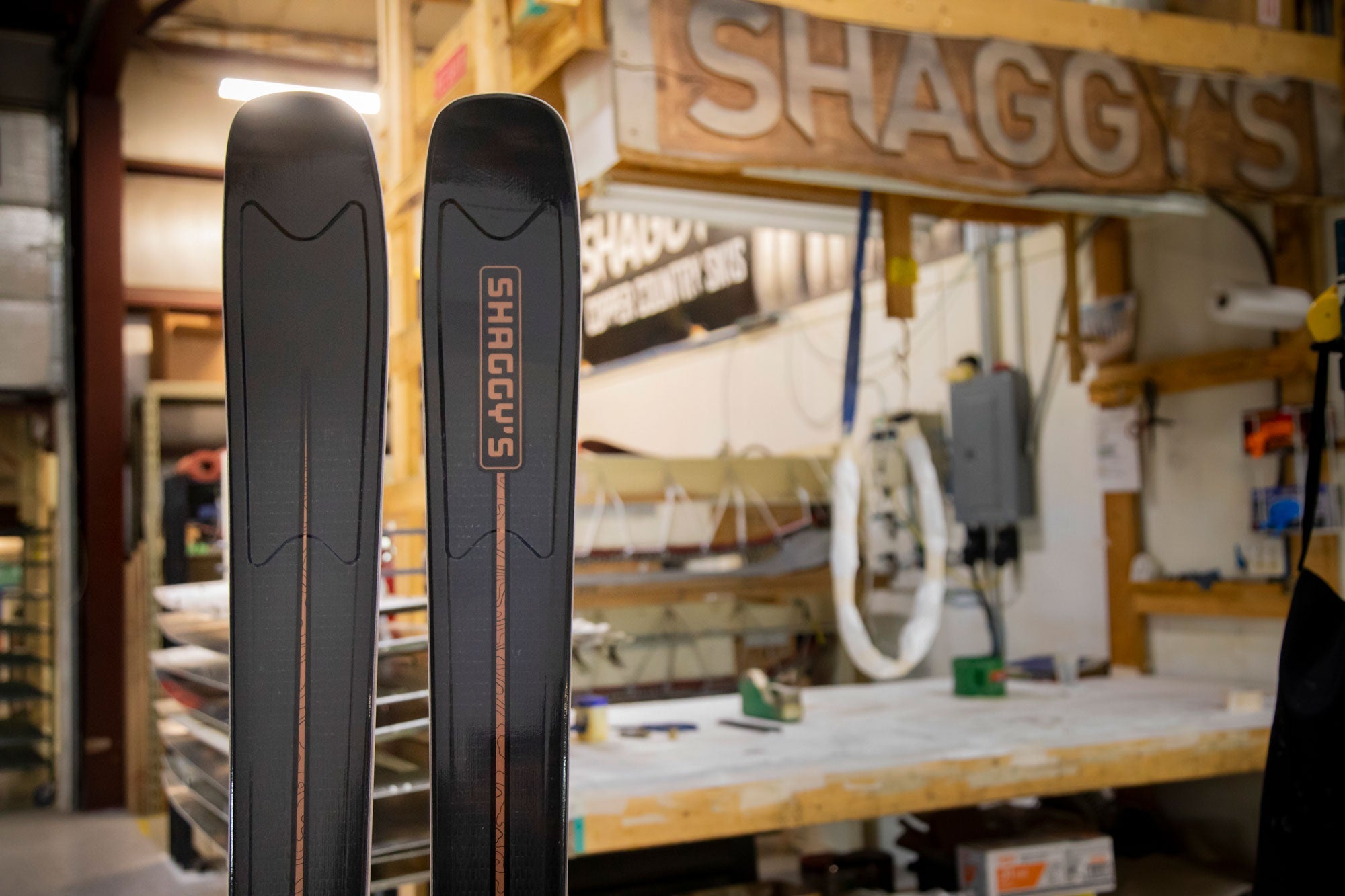 Pro Carbon Skis