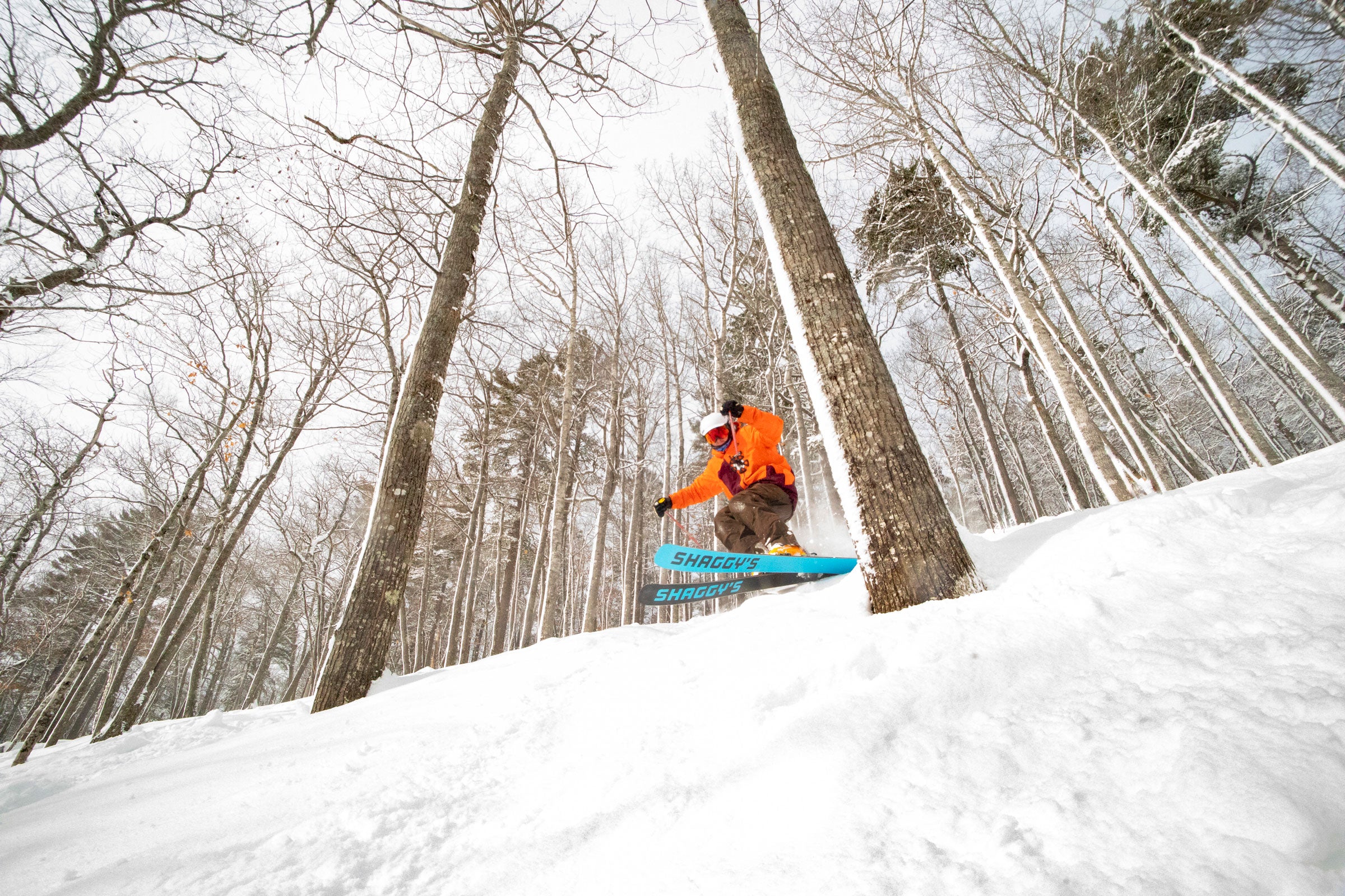 Tree Skiing - Best Skis for Tree Skiing - Best Skis for Glade Skiing